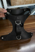 Harness