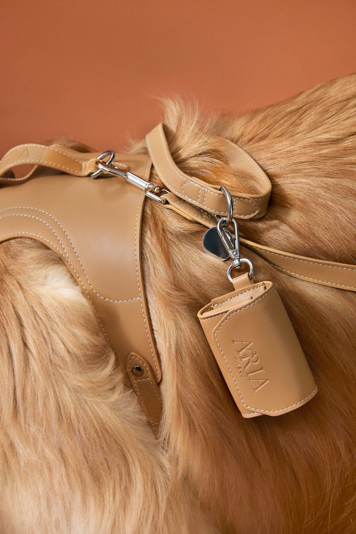 Guia ARIA na cor caramelo junto da coleira e do porta saquinho sobre o pelo de um golden retriever