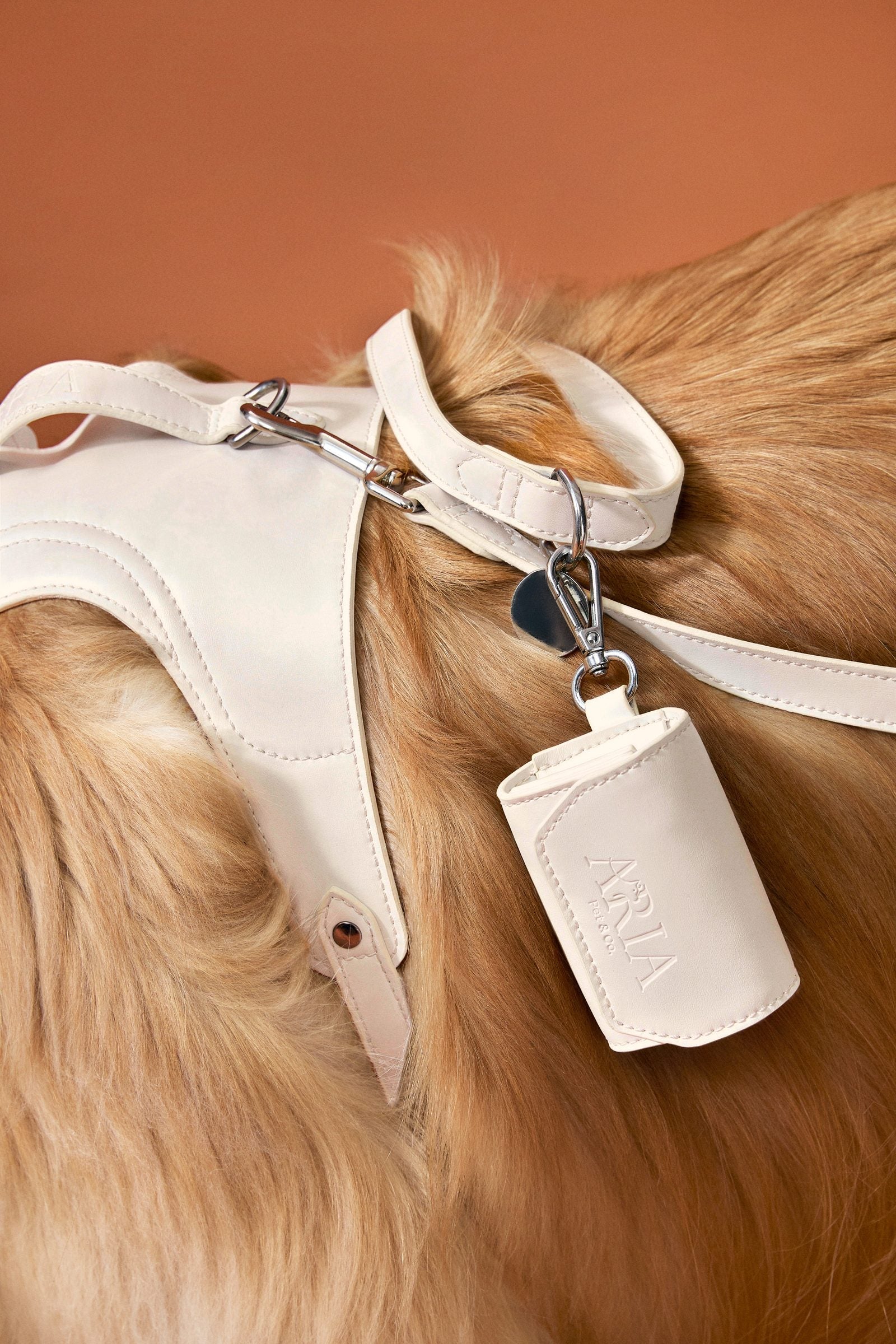 Guia ARIA na cor off white junto da coleira e do porta saquinho sobre o pelo de um golden retriever